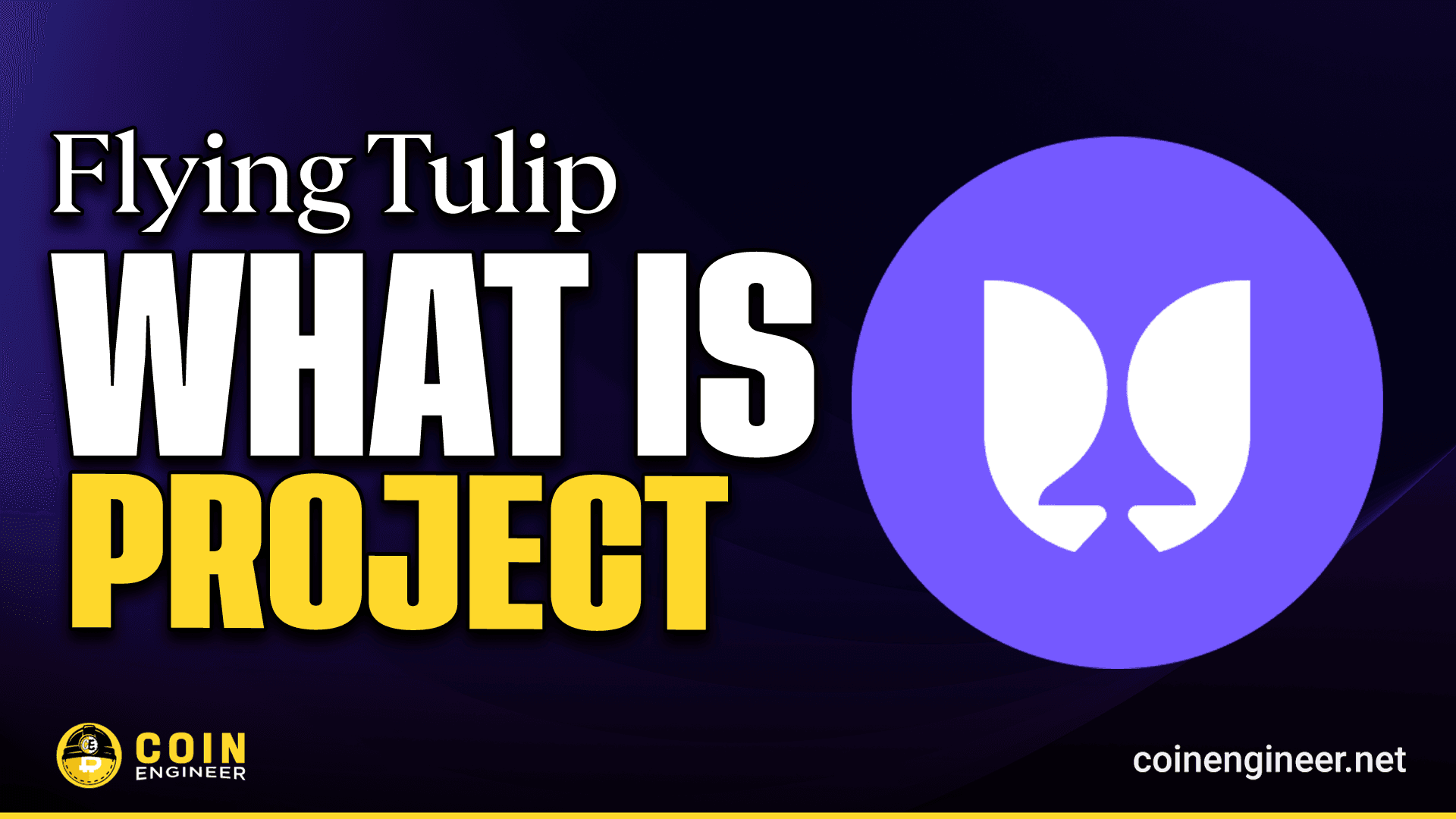 What is Flying Tulip (FT)?