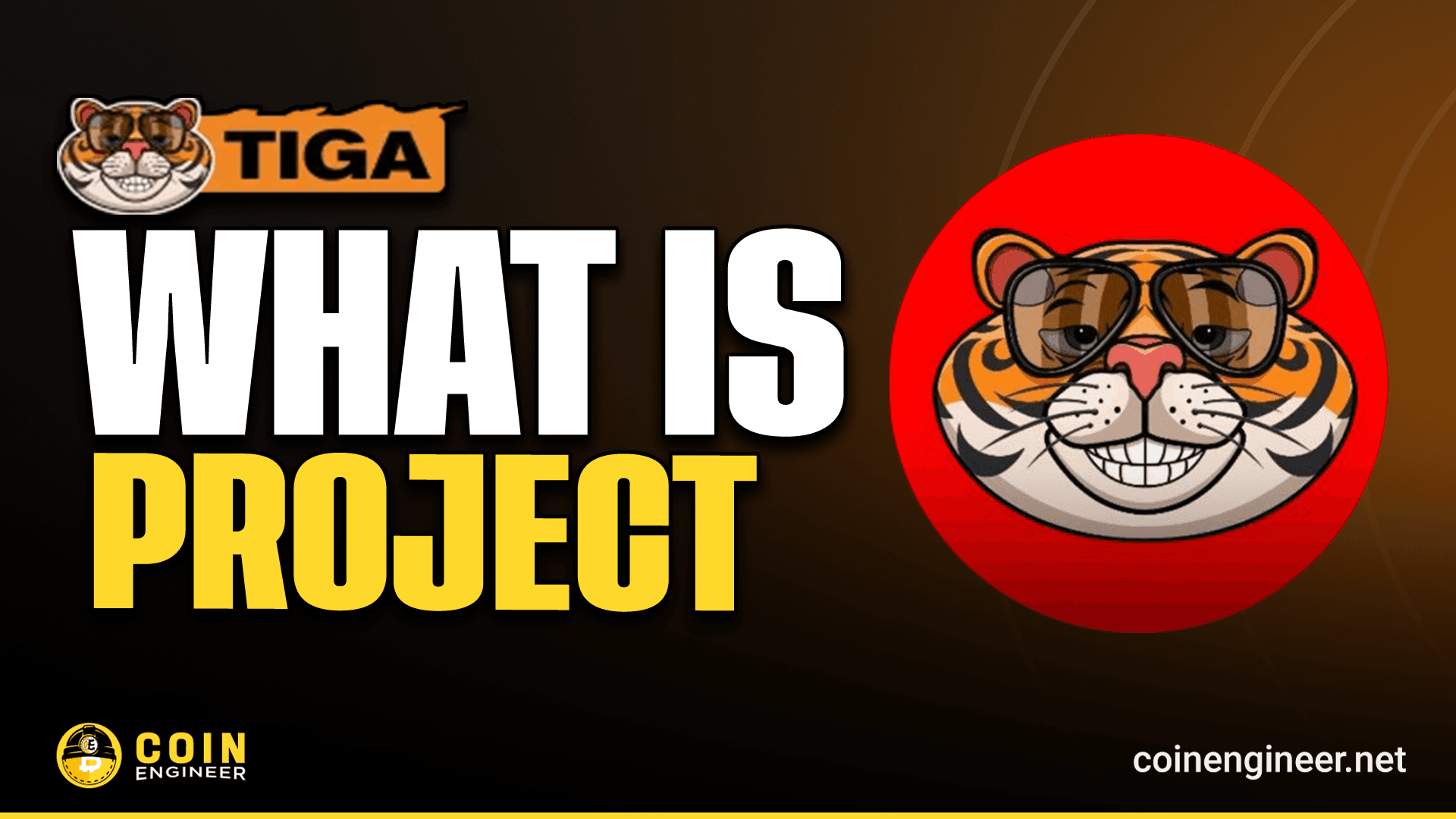What is Tiga (TIGA)?