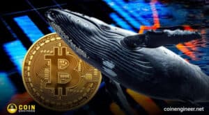 Retail Is Buying Bitcoin — But What Are the Whales Doing?