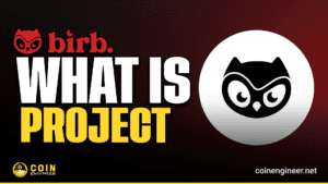 What is Moonbirds (BIRB)?