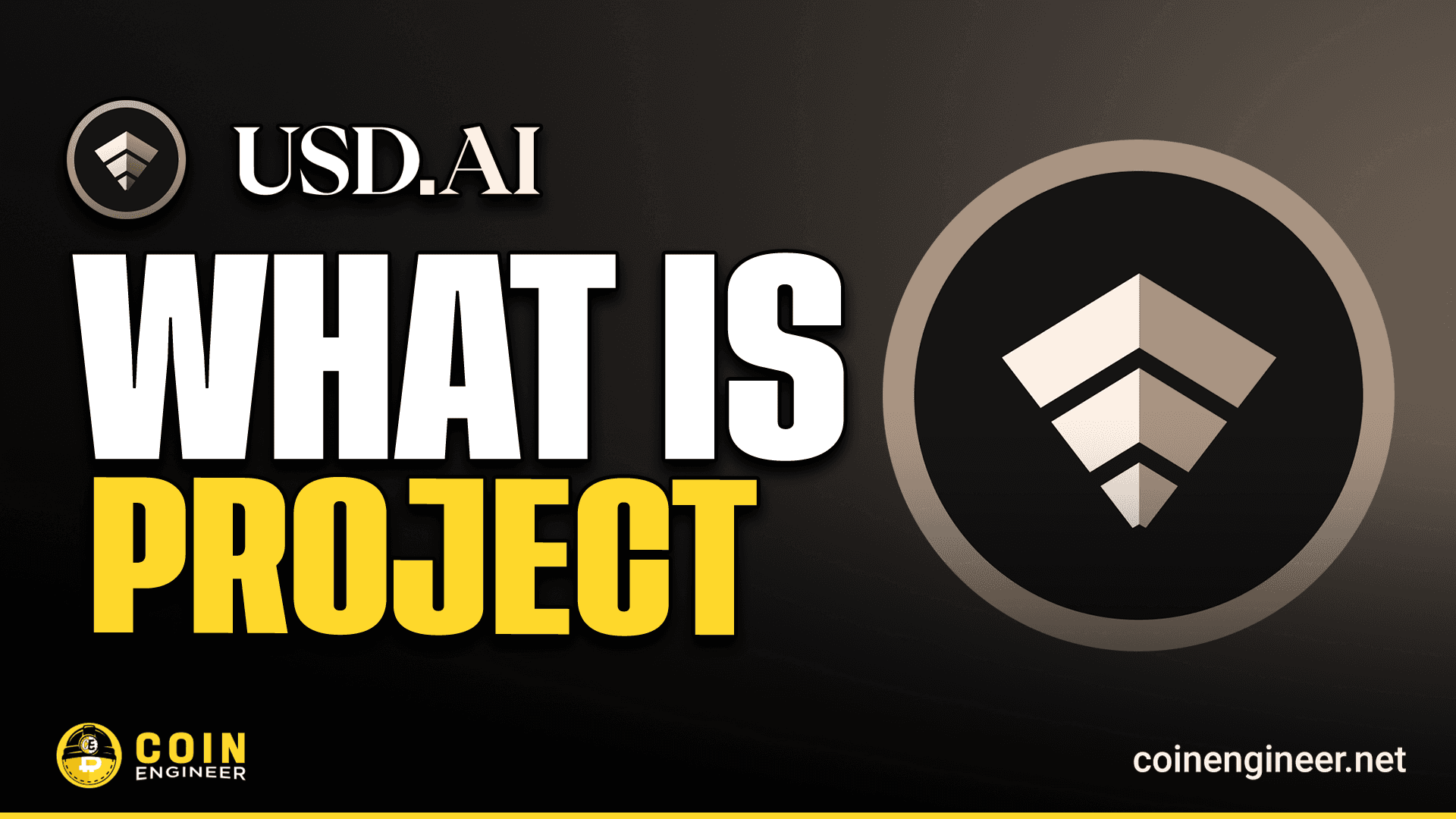 What is USD.AI (CHIP)?