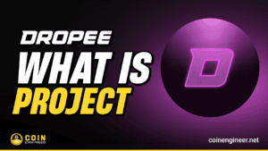 What is Dropee (DROPEE)?