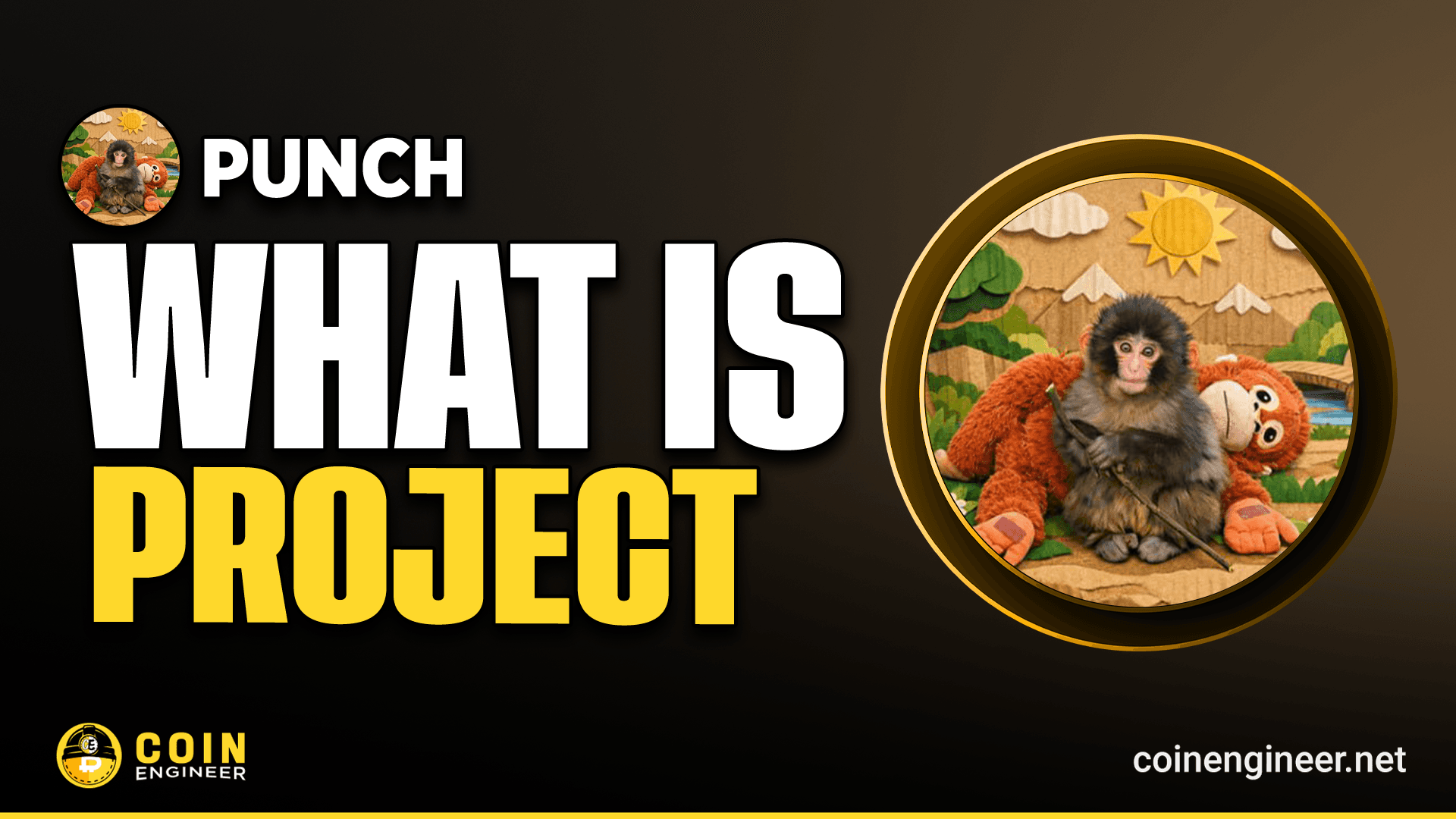 What Is PUNCH Token?