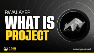 What is RWALayer (VIRTUALAI)?