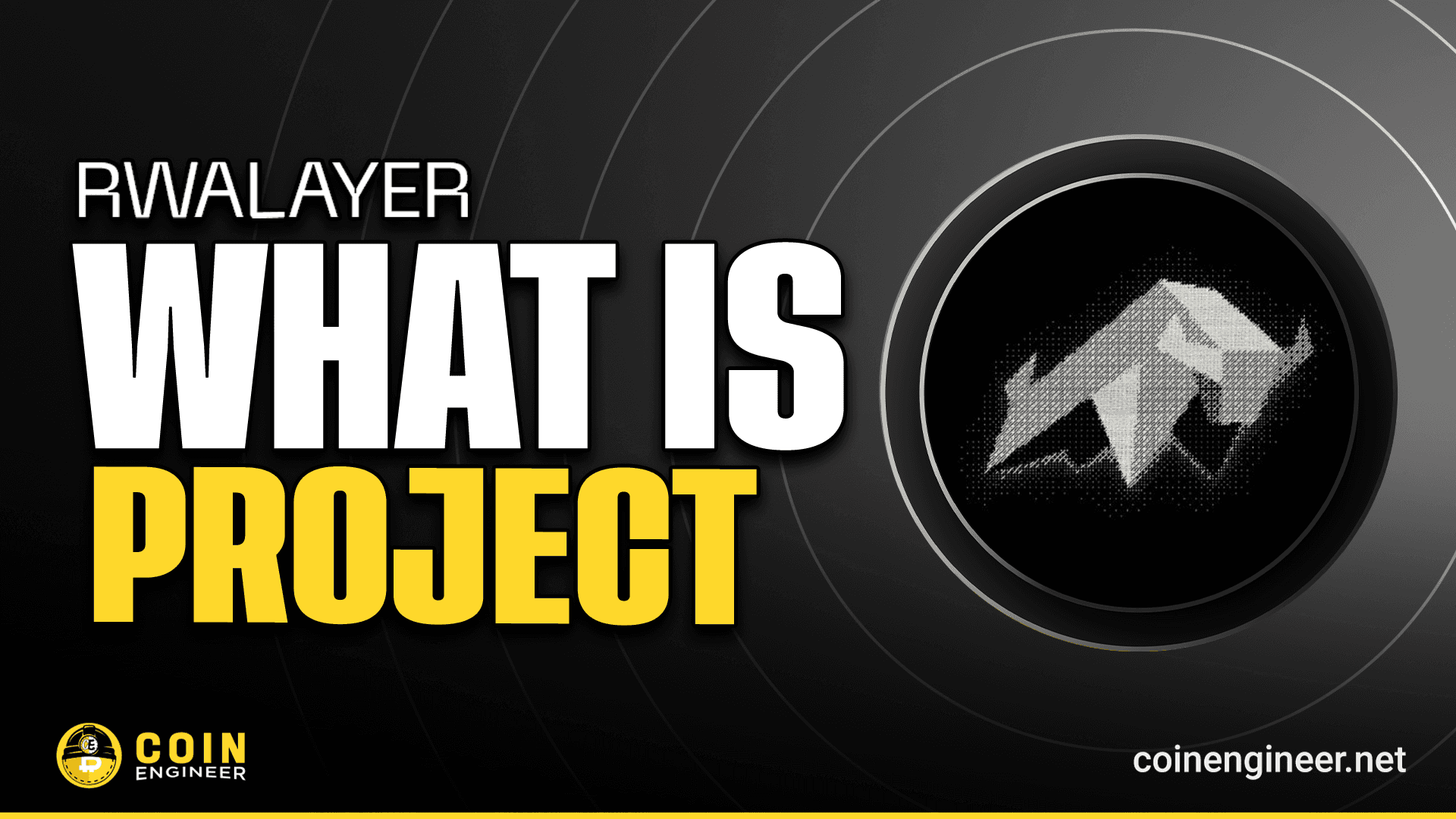 What is RWALayer (VIRTUALAI)?