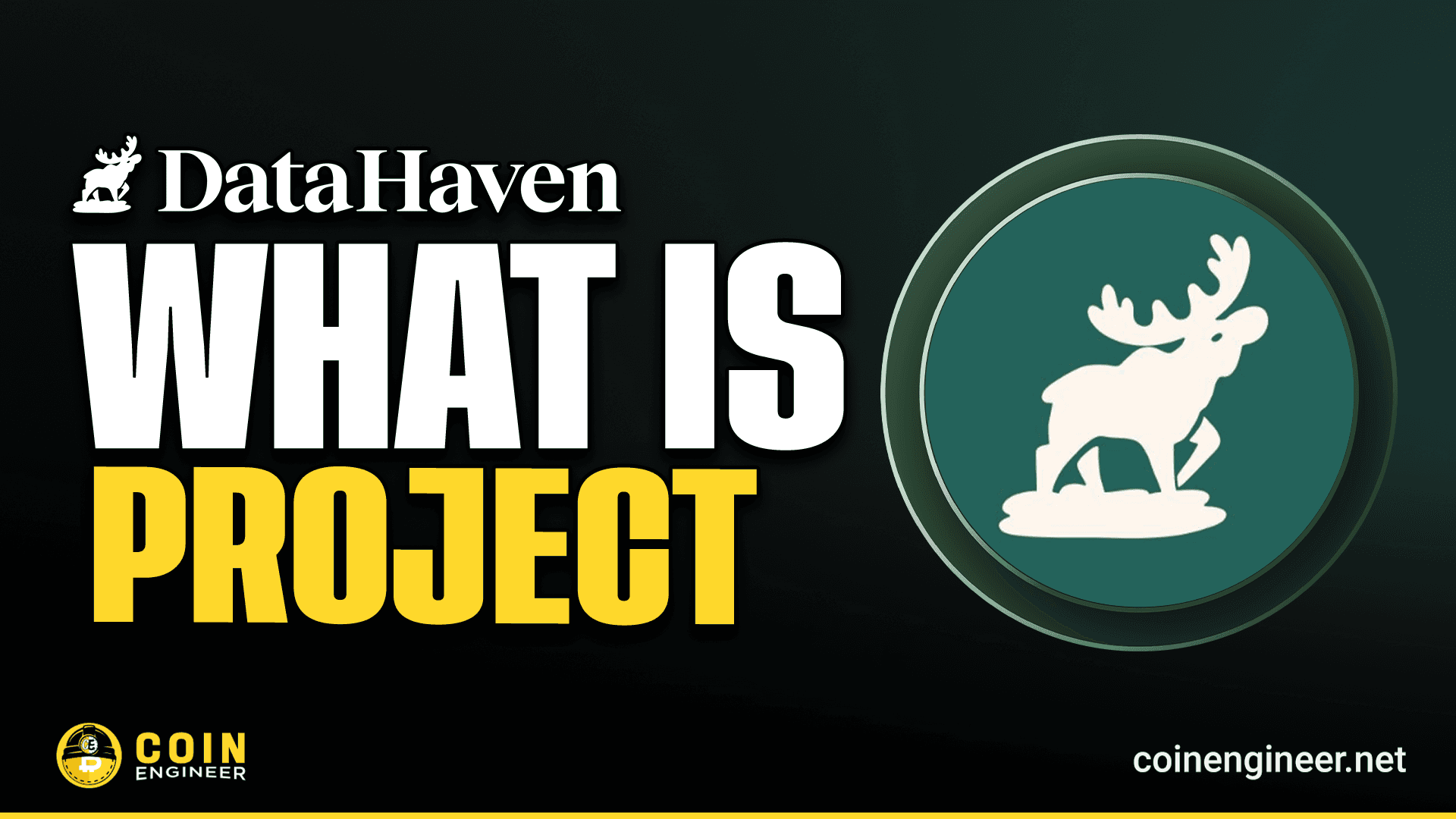 What is DataHaven (HAVE)?