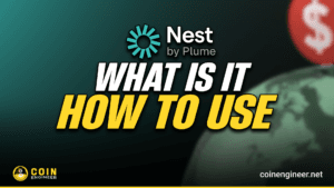 What is Nest Credit? How is it Used?