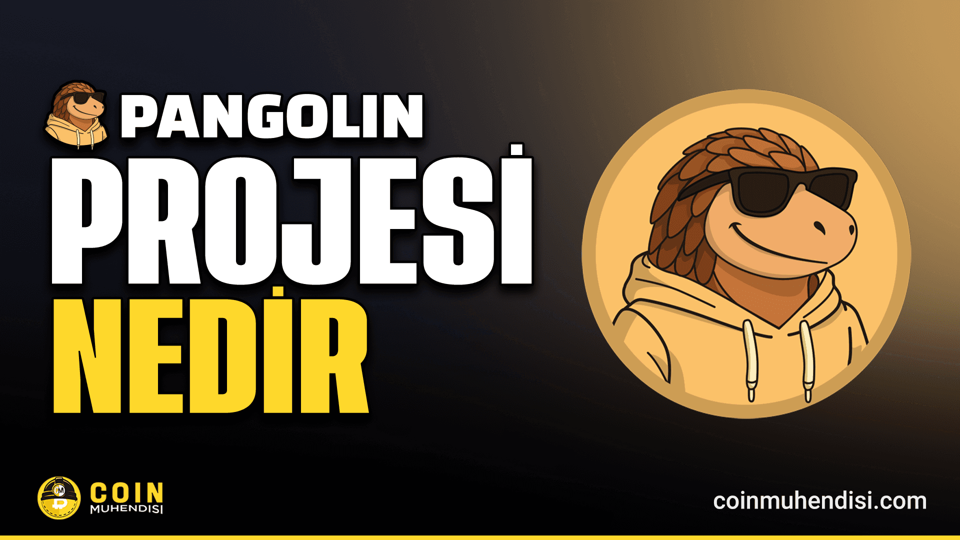 Pangolin (PNG) Nedir?