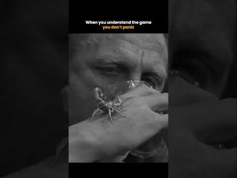 No Panic When You Get the Game