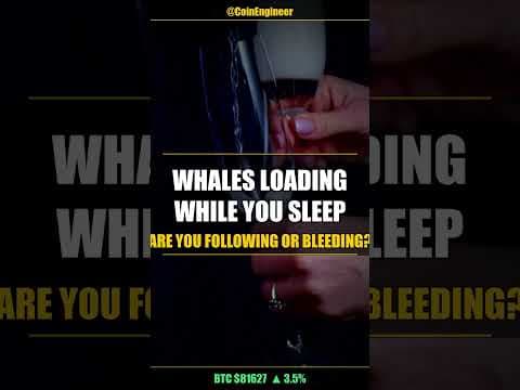 WHALES LOADING WHILE YOU SLEEP — ARE YOU FOLLOWING OR BLEEDING? #Shorts