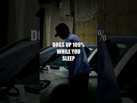 DOGS UP 109% WHILE YOU SLEEP #Shorts