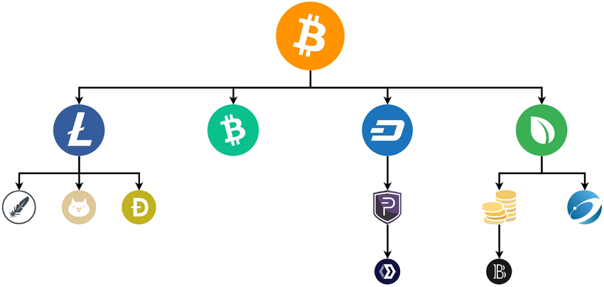 Bitcoin Tree What is Bitcoin Fork? - Coin Engineer
