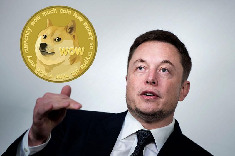 Does 44 billion DogeCoin Belong to Elon Musk?