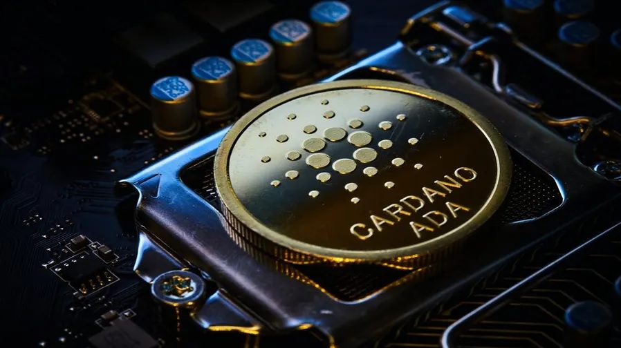 What is Cardano