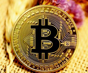 biggest bitcoin holders