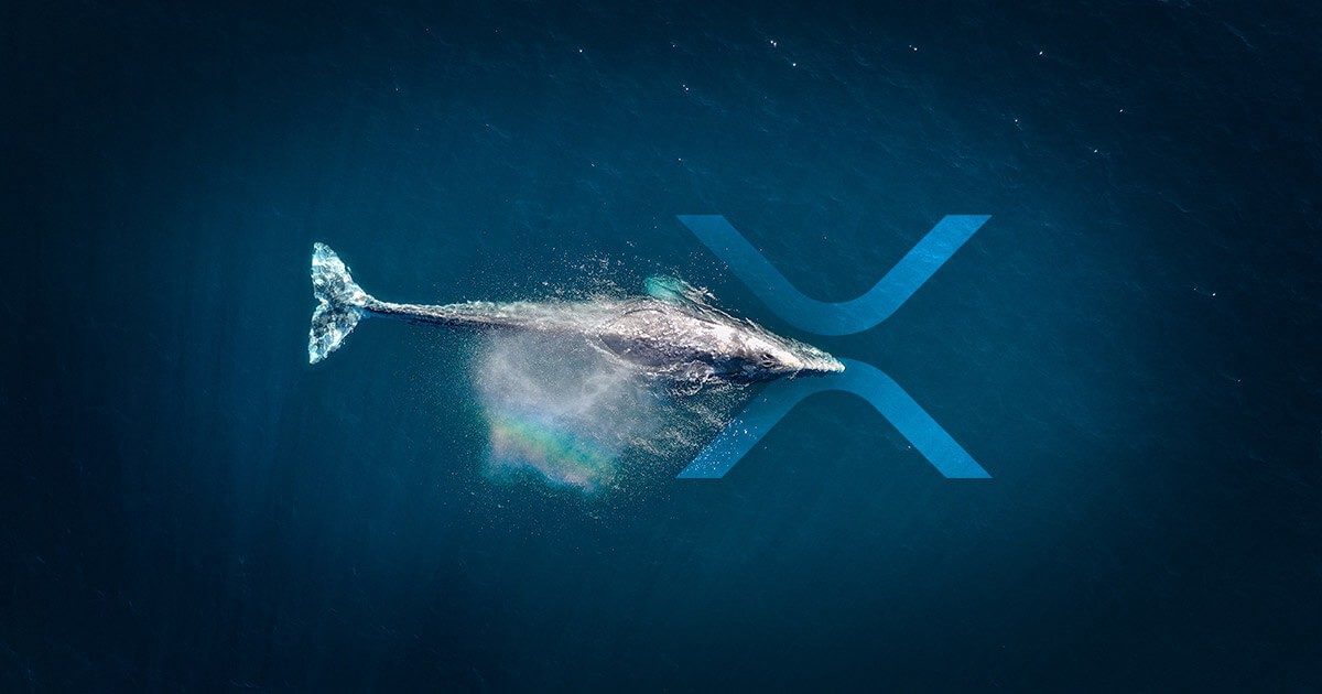 xrp whale alert