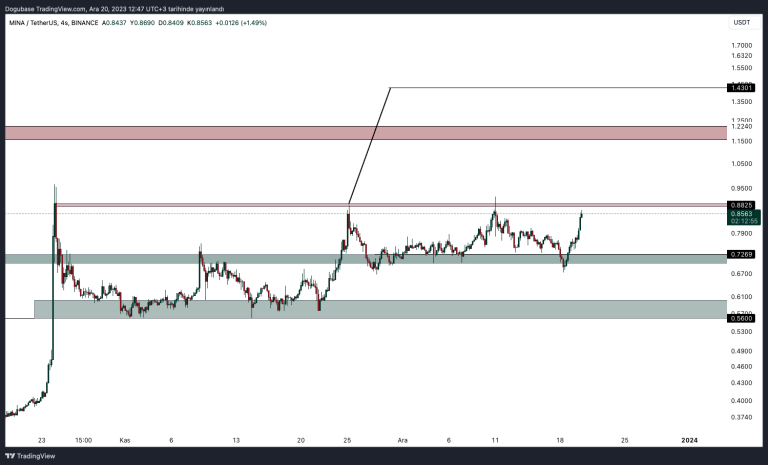 MINA Protocol Altcoins