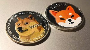 Dogecoin and Floki