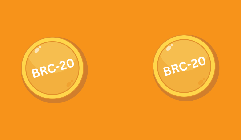 BRC-20 Tokens
