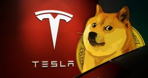 Tesla DOGE Dogecoin