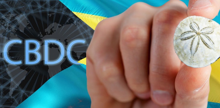 bahamas, sand dollar