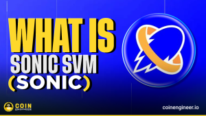 SONIC SVM