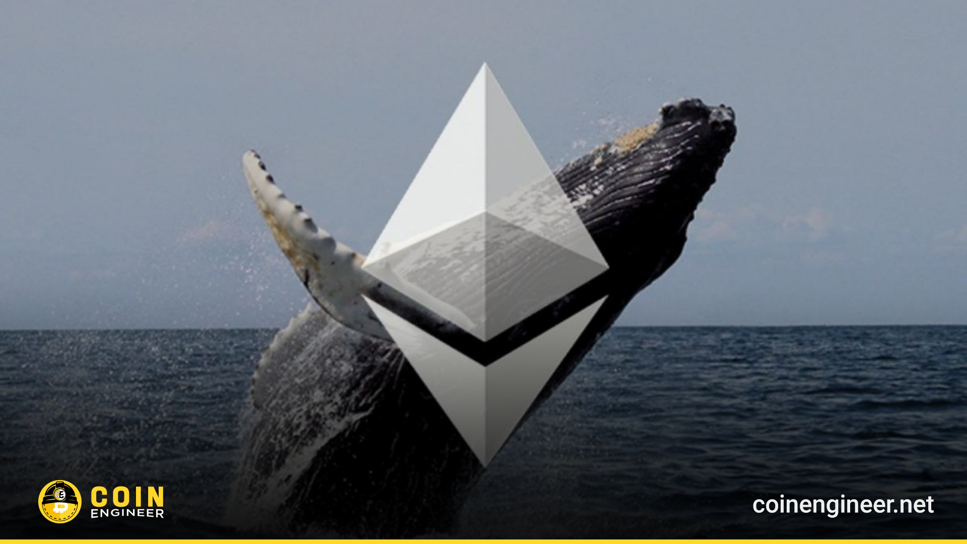 ethereum whale