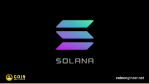 SOL Digital Asset Treasuries