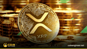 xrp ripple