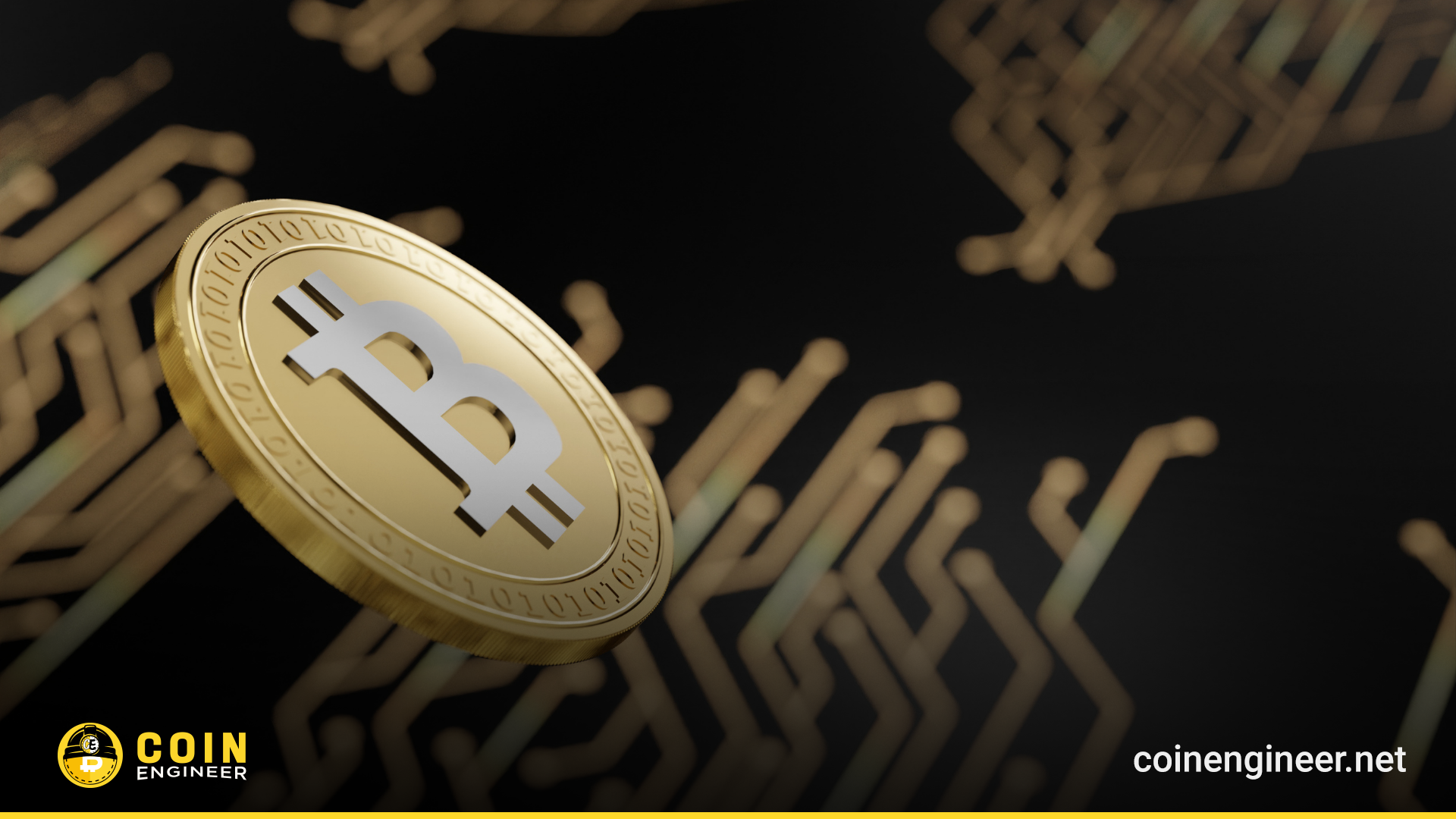 The World's Largest Companies by Cryptocurrency Holdings