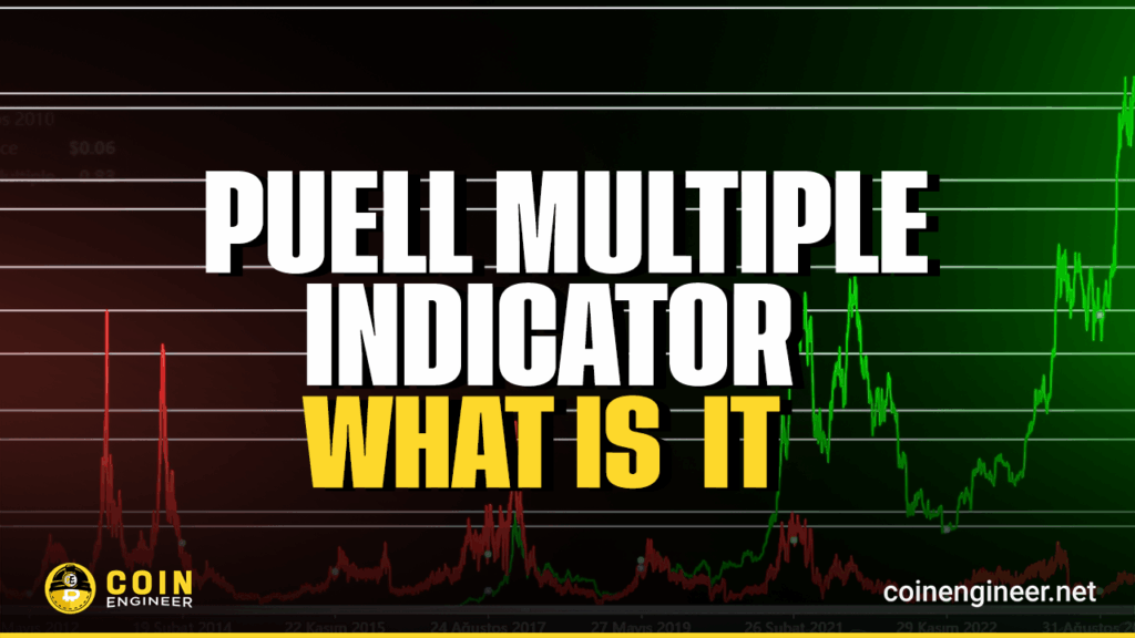 puell indicator