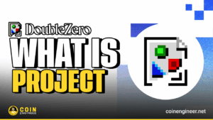 DoubleZero 2Z blockchain network