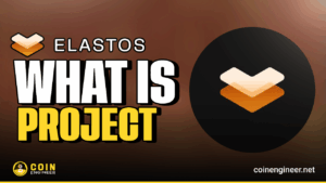 Elastos ela Blockchain Network