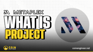 what is metaplex, mplx coin, mplx token