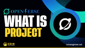 Openverse Network (BTG): Layer 0 Hub for Cross-Chain Value