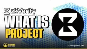 zkVerify Verification Layer