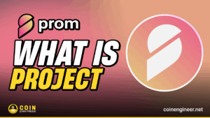 Prom blockchain high-speed scalable ZK-EVM network