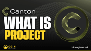 Canton Network blockchain overview