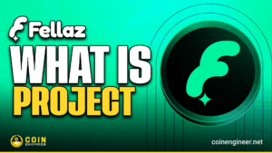 Fellaz FLZ Web3 Platform