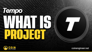 Tempo Network Payment Chain