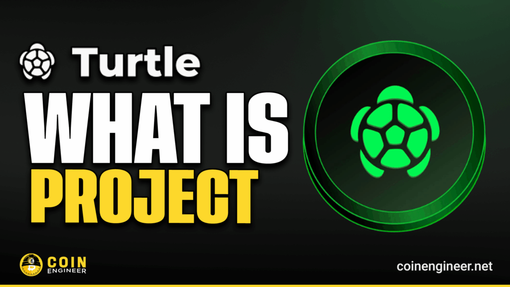 Turtle Project: Web3 Liquidity & Rewards