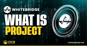 WhiteBridge AI Agents Network for human-data intelligence