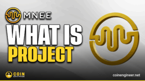 MNEE USD stablecoin features