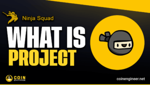 Ninja Squad (NST) NFT