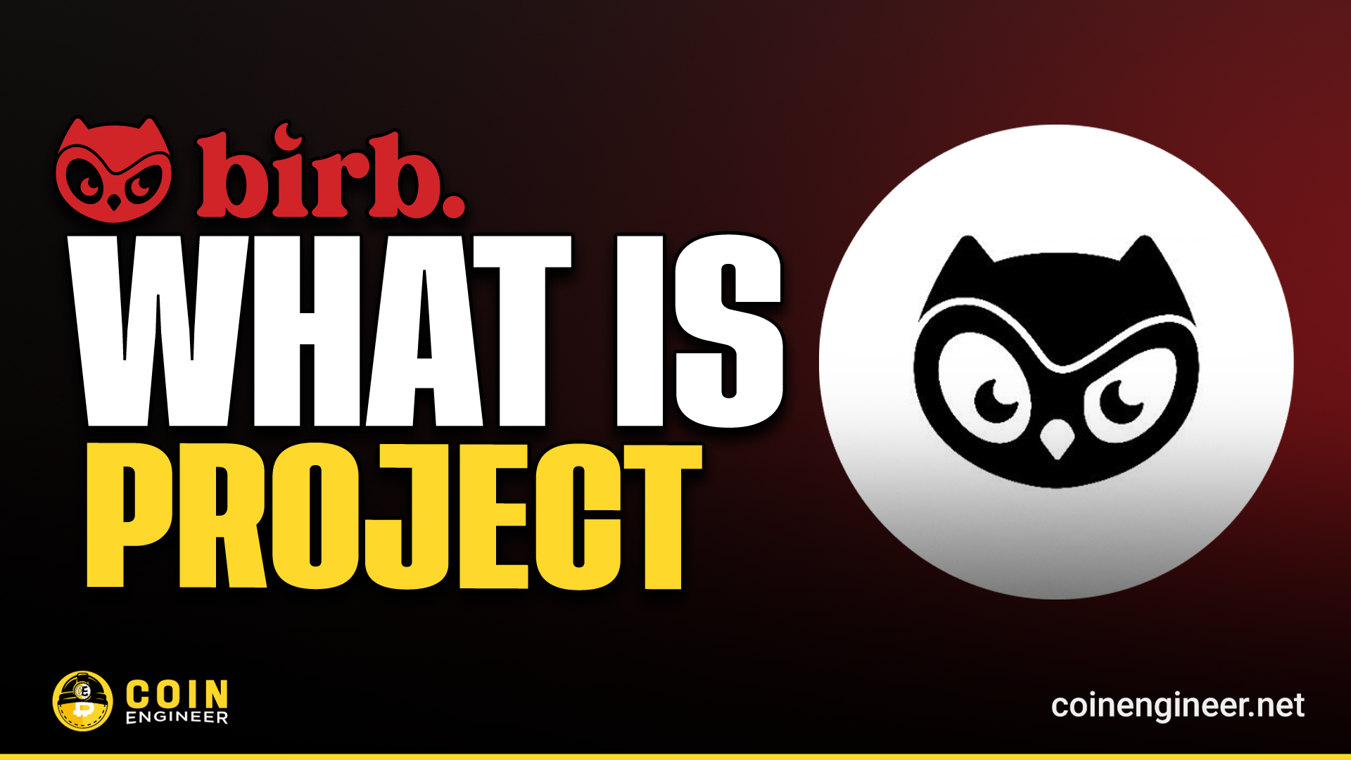 What is Moonbirds (BIRB)? - Coin Engineer