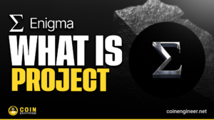 Enigma ENX Invisible Network and RAVID Technical Architecture