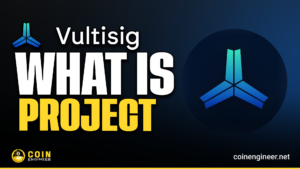 Vultisig Multi-Chain Wallet