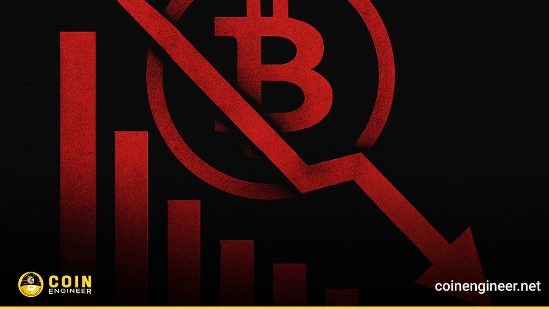 Bitcoin price drop, investor fear