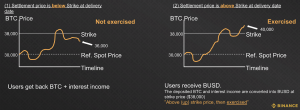 Binance Dual Investment