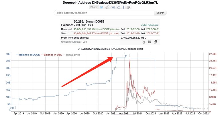 Does 44 Billion Dogecoin Belong To Elon Musk